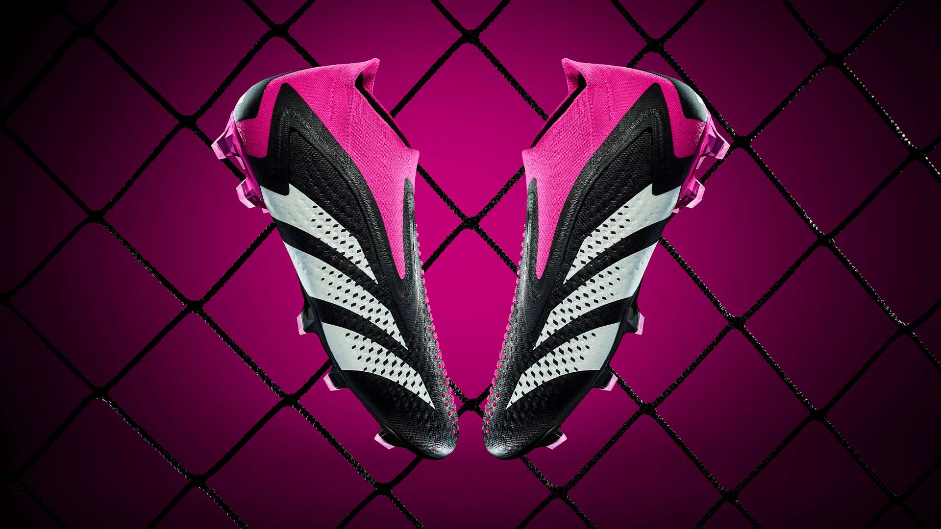 從而掌控比 從而掌控比