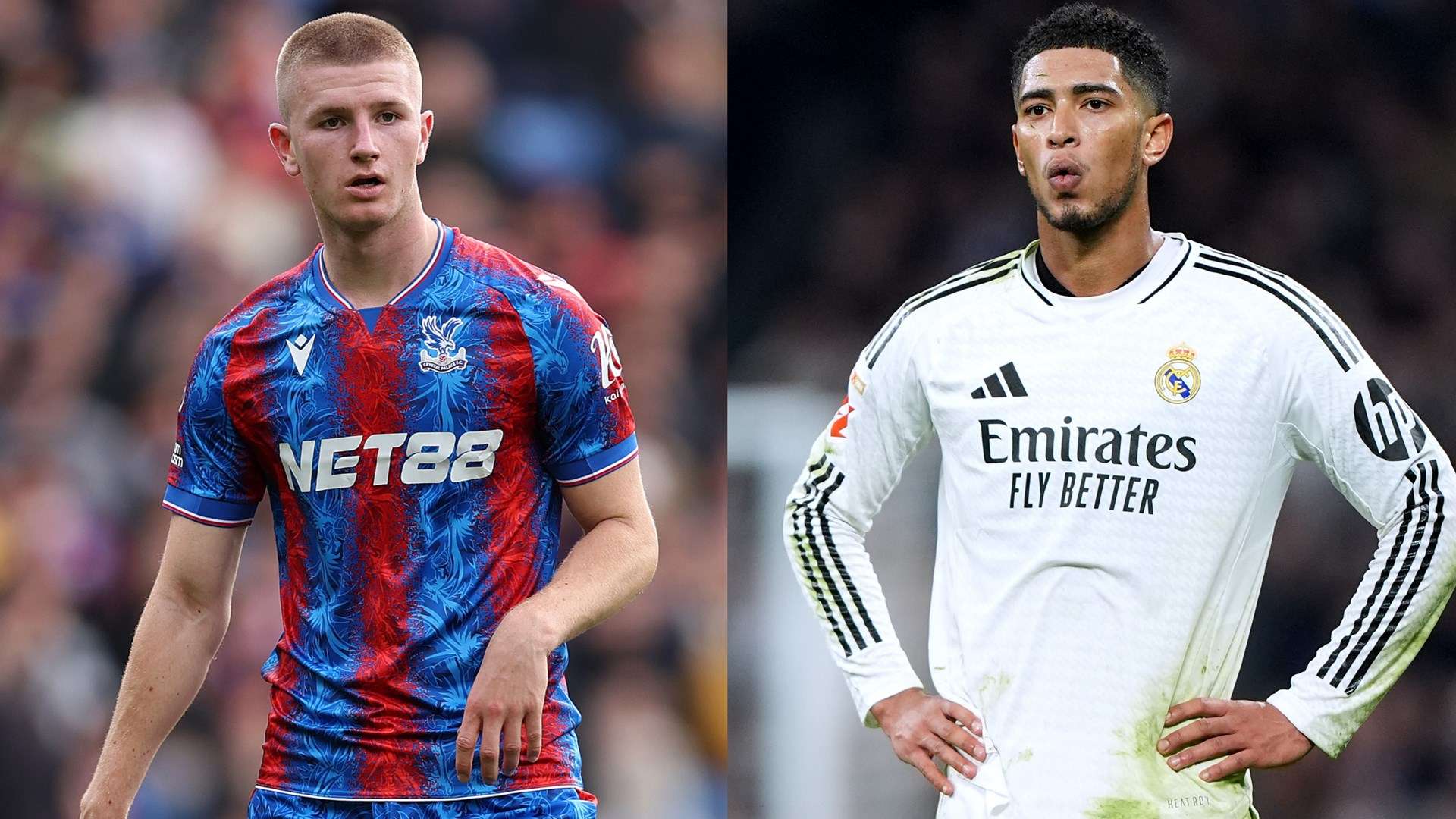 名射手展示 名射手展示